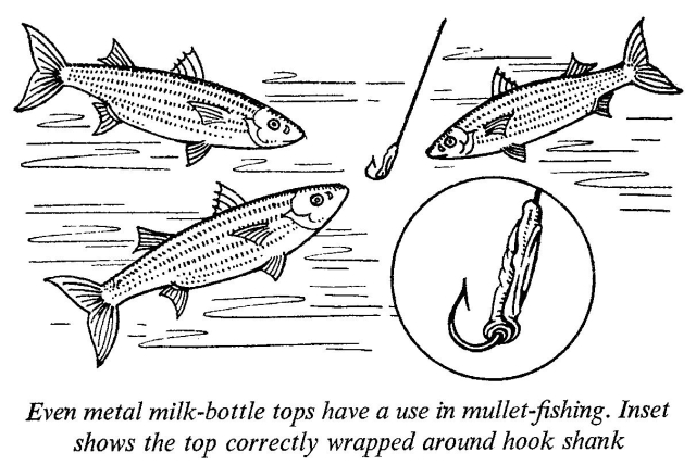 float fishing for mullet, targeting mullet, specimen irish mullet