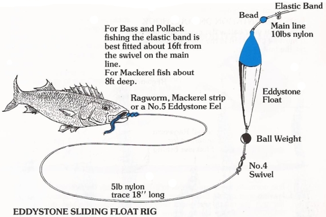 Rig, carp, course, roach, fish 30 x Sliding Rubber Float Stops float fishing 