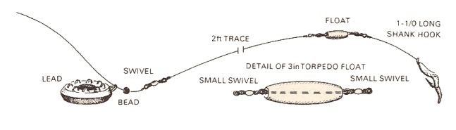 Simple Flounder Trace