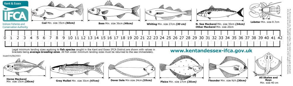 NFSA Minimum Fish Size Limits