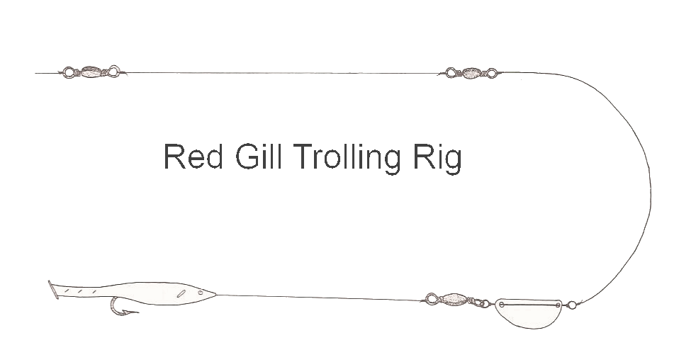 Red Gill Trolling Rig